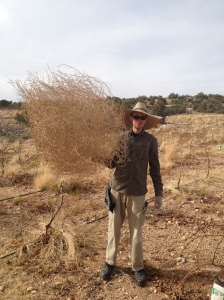Hubby with a tumbleweed on the farm :)